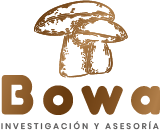 www.bowa.com.co